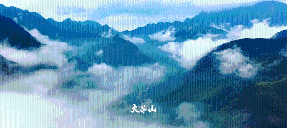 鹰击长空2