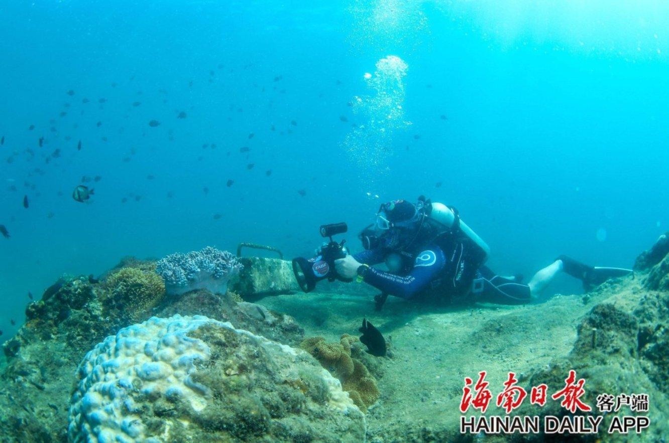 查到假身份证要几天才能调查清楚游戏画面